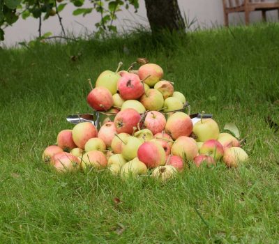 Omenat_Applen_Banner Omenat_Applen_Banner