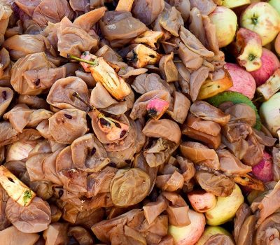 Omenoiden_vastaanotto_Mottagning_av_applen_Banner Omenoiden_vastaanotto_Mottagning_av_applen_Banner