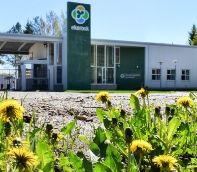 Voikukkia-konttorin-edessa-Maskrosor-framfor-kontoret-Banner Voikukkia-konttorin-edessa-Maskrosor-framfor-kontoret-Banner