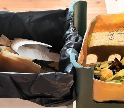 biopapperspase biopapperspase