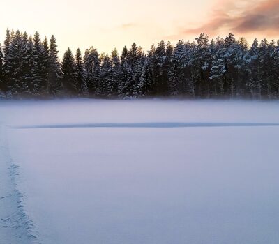 Hiihtolatu-Skidspar-Banner Hiihtolatu-Skidspar-Banner