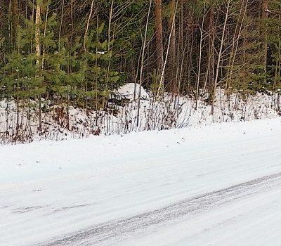 Tee niin kuin pukki ja lajittele – Gor som tomten och sortera Tee niin kuin pukki ja lajittele – Gor som tomten och sortera
