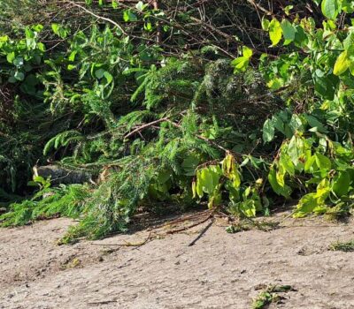 Puutarhajate-Tradgardsavfall-Banner Puutarhajate-Tradgardsavfall-Banner
