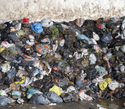 Biohalli_2022_Biohallen Biohalli_2022_Biohallen