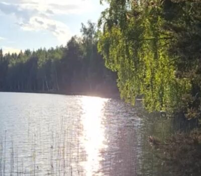 Midsommar 2026 Juhannus-2 Midsommar 2026 Juhannus-2